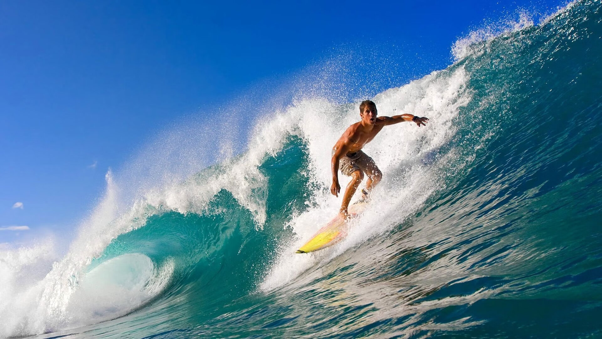 全球观众狂欢：WRC直播全场声势浩大，wrc the official game