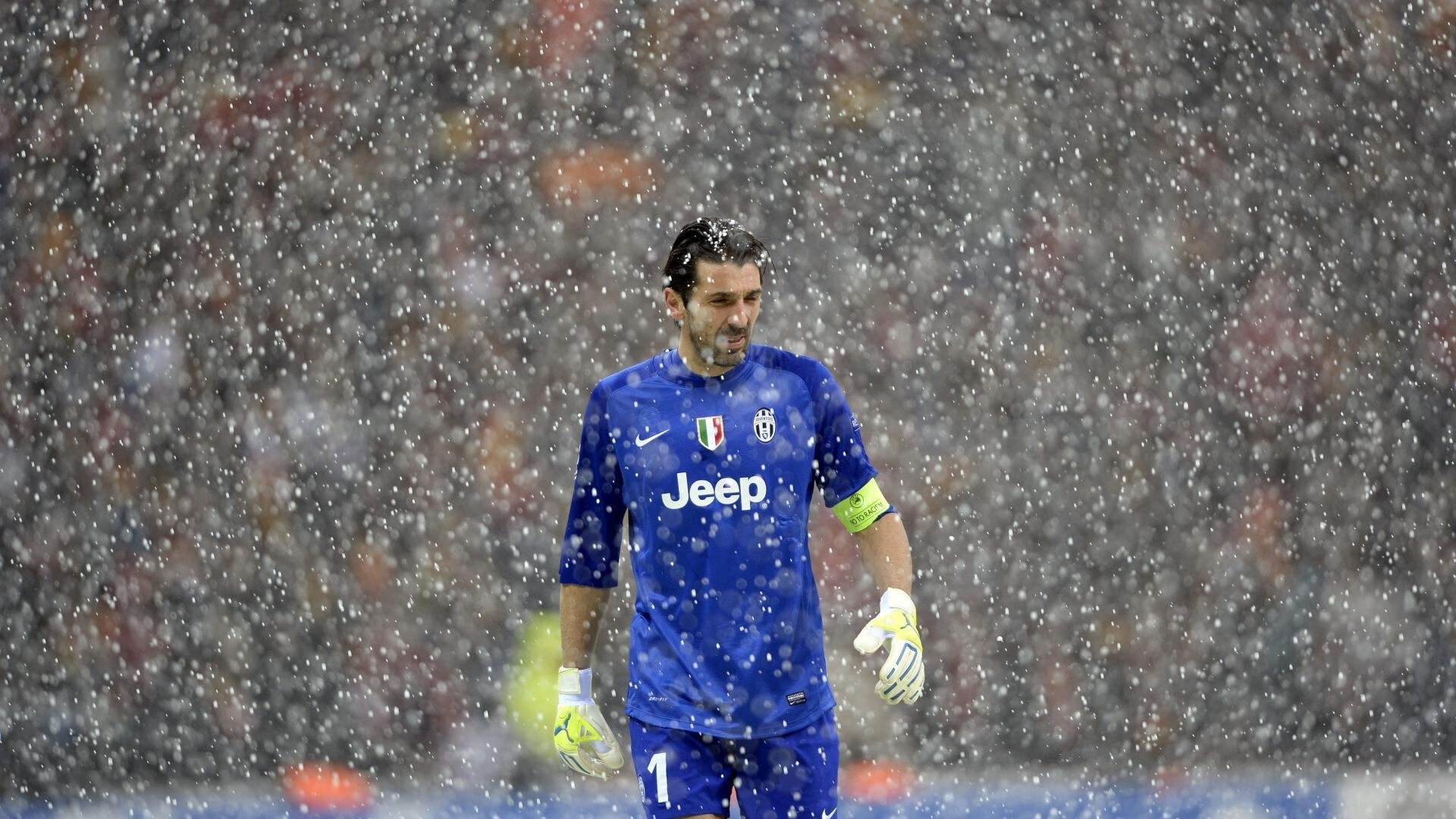 全球观众狂欢：WRC直播全场声势浩大，wrc the official game